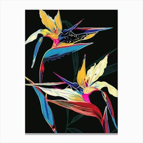 Neon Flowers On Black Bird Of Paradise 4 Canvas Print