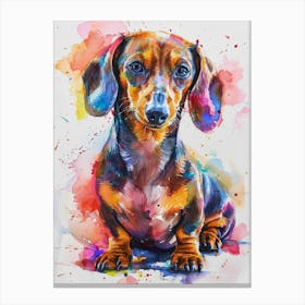 Dachshund Watercolor Painting 2 Canvas Print