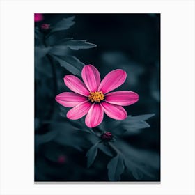 Pink Flower Wallpaper Canvas Print