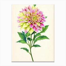 Dahlia Vintage Flowers Flower Canvas Print