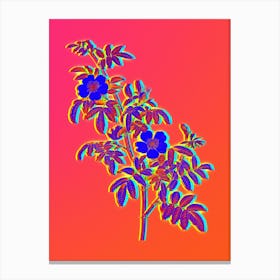 Neon Musk Rose Botanical in Hot Pink and Electric Blue n.0220 Canvas Print