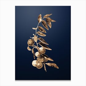 Gold Botanical Chinese Jujube on Midnight Navy n.0163 Canvas Print