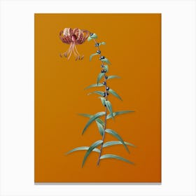 Vintage Tiger Lily Botanical on Sunset Orange n.0605 Canvas Print