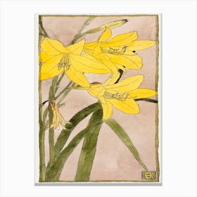 Yellow Daylily (1915), Hannah Borger Overbeck Canvas Print