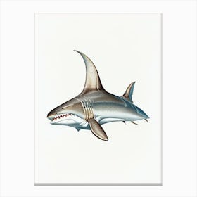 Bull Shark Vintage Canvas Print