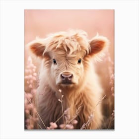 Fluffy Baby Pink Highland Cow 3 Canvas Print