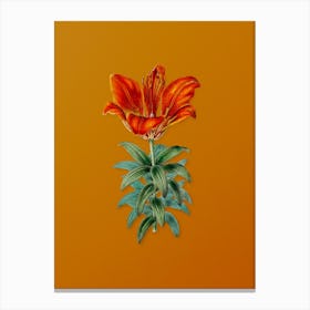 Vintage Blood Red Lily Flower Botanical on Sunset Orange n.0733 Canvas Print