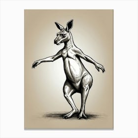 Kangaroo 3 Canvas Print