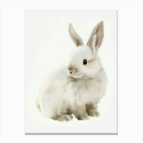 Silver Marten Rabbit Kids Illustration 3 Canvas Print