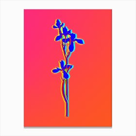 Neon Siberian Iris Botanical in Hot Pink and Electric Blue n.0409 Canvas Print