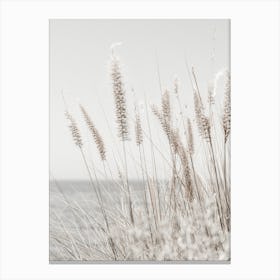 Grass Canvas Print