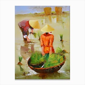 Asian Women Harvesting Rice Canvas Print