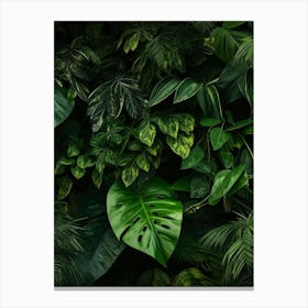 Tropical Leaves Wallpaper Canvas Print