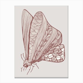 Moth Scandinavian 1 Canvas Print