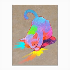 Rainbow Cat Canvas Print