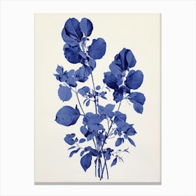 Blue Botanical Bougainvillea 3 Canvas Print