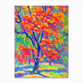 Kentucky Coffeetree tree Abstract Block Colour Canvas Print