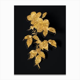 Vintage Tea Scented Roses Bloom Botanical in Gold on Black n.0157 Canvas Print