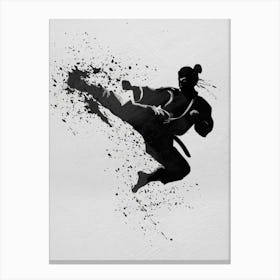 Karate Kick Canvas Print