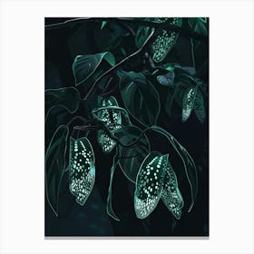 Symbiosis 7 Canvas Print