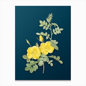 Vintage Yellow Sweetbriar Roses Botanical Art on Teal Blue n.0809 Canvas Print