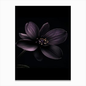 Black Flower 3 Canvas Print