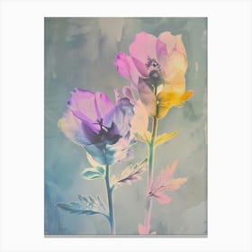 Iridescent Flower Aconitum Canvas Print
