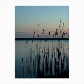 Reeds At Sunset Canvas Print