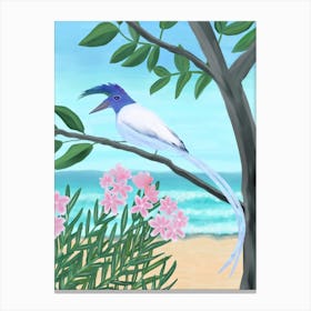 Magpie-Jay Canvas Print