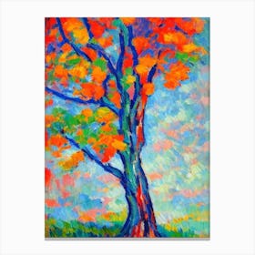Bald Cypress tree Abstract Block Colour Canvas Print