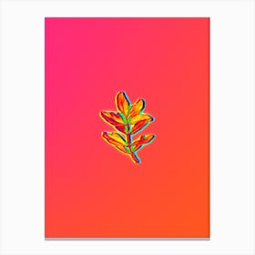 Neon Buxus Colchica Twig Botanical in Hot Pink and Electric Blue n.0372 Canvas Print