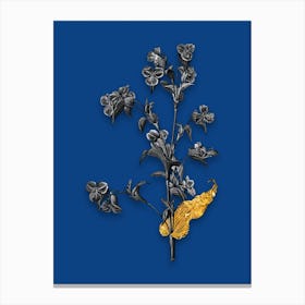 Vintage Commelina Tuberosa Black and White Gold Leaf Floral Art on Midnight Blue n.0416 Canvas Print