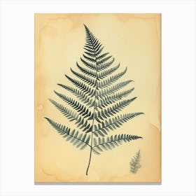 Vintage Illustration Silver Lace Fern 1 Canvas Print