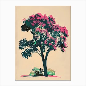 Mahogany Tree Colourful Illustration 2 Canvas Print