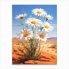 Daisy Wildflower In Desert, South Western Style (2) Canvas Print