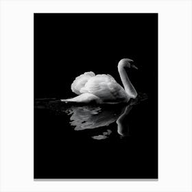 Swan In Black And White Canvas Print