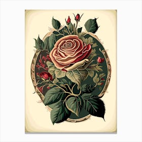 Rose Wildflower Vintage Botanical 1 Canvas Print