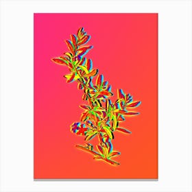 Neon Goji Berry Branch Botanical in Hot Pink and Electric Blue Canvas Print