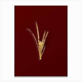 Vintage Yellow Iris Botanical in Gold on Red n.0303 Canvas Print