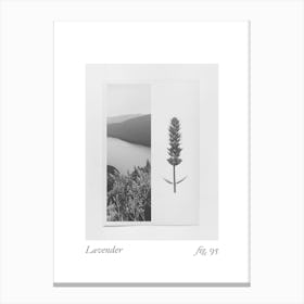 Lavender Botanical Collage 1 Canvas Print