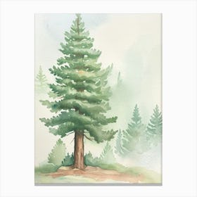 Redwood Tree Atmospheric Watercolour Painting 3 Canvas Print