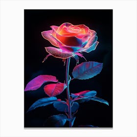 Rose In The Dark 4 Canvas Print