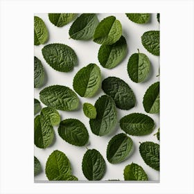 Mint Leaves On White Background Canvas Print