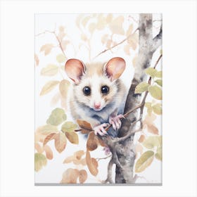 Light Watercolor Painting Of A Leadbeaters Possum 3 Canvas Print