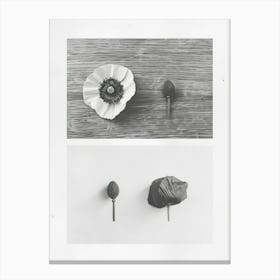 Poppy Flower Photo Collage 1 Canvas Print