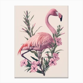 Chilean Flamingo Oleander Minimalist Illustration 2 Canvas Print