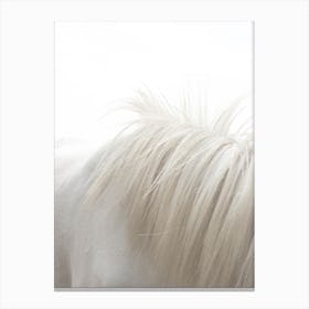 White Horse's Mane Canvas Print