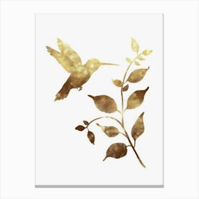 Hummingbird 12 Canvas Print