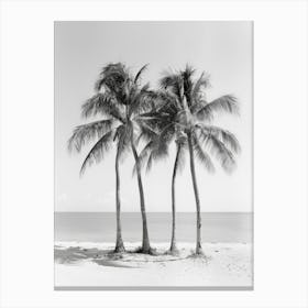 Three Palm Trees On The Beach 5 Canvas Print