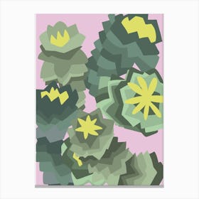 Euphorbia plant Canvas Print